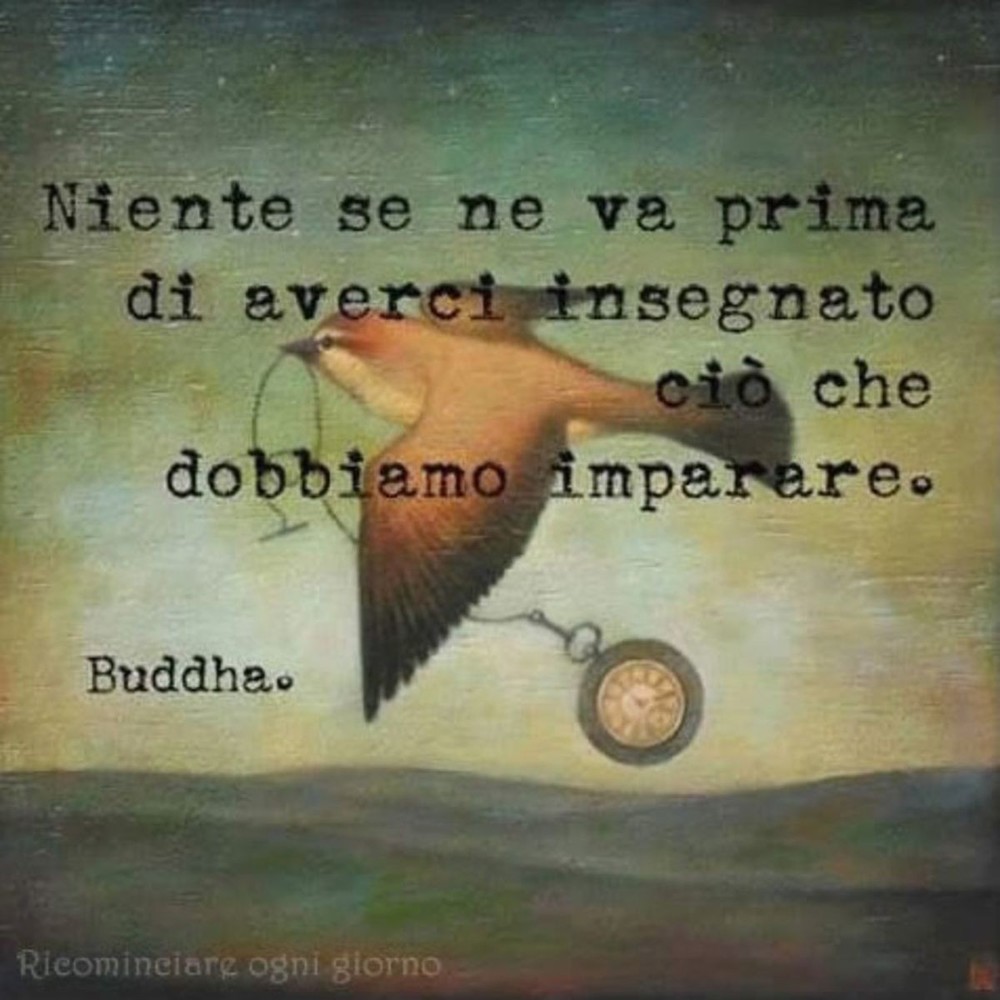 Aforismi Buddha Immaginifacebook It