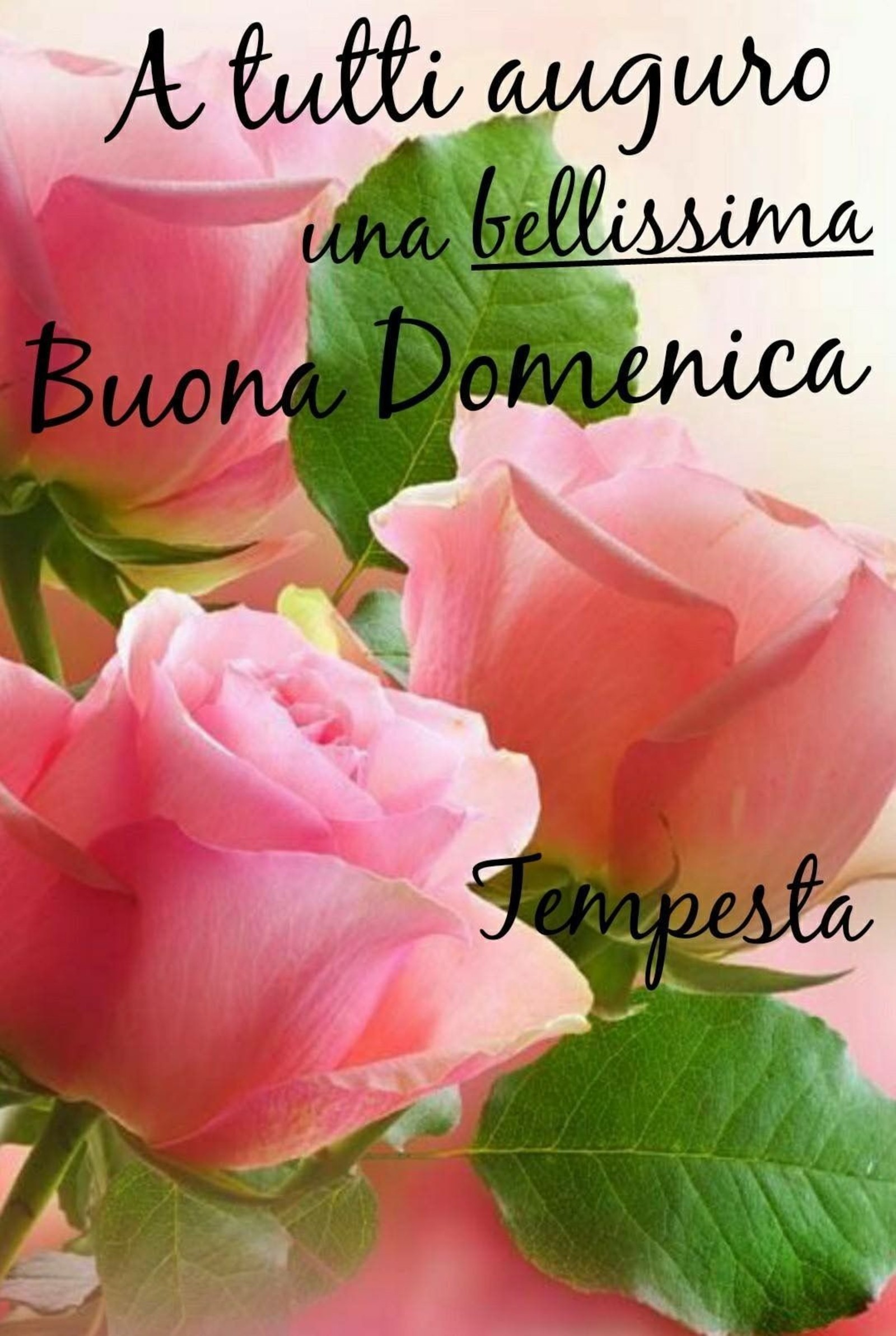 Auguri Di Buona Domenica Immaginifacebook It