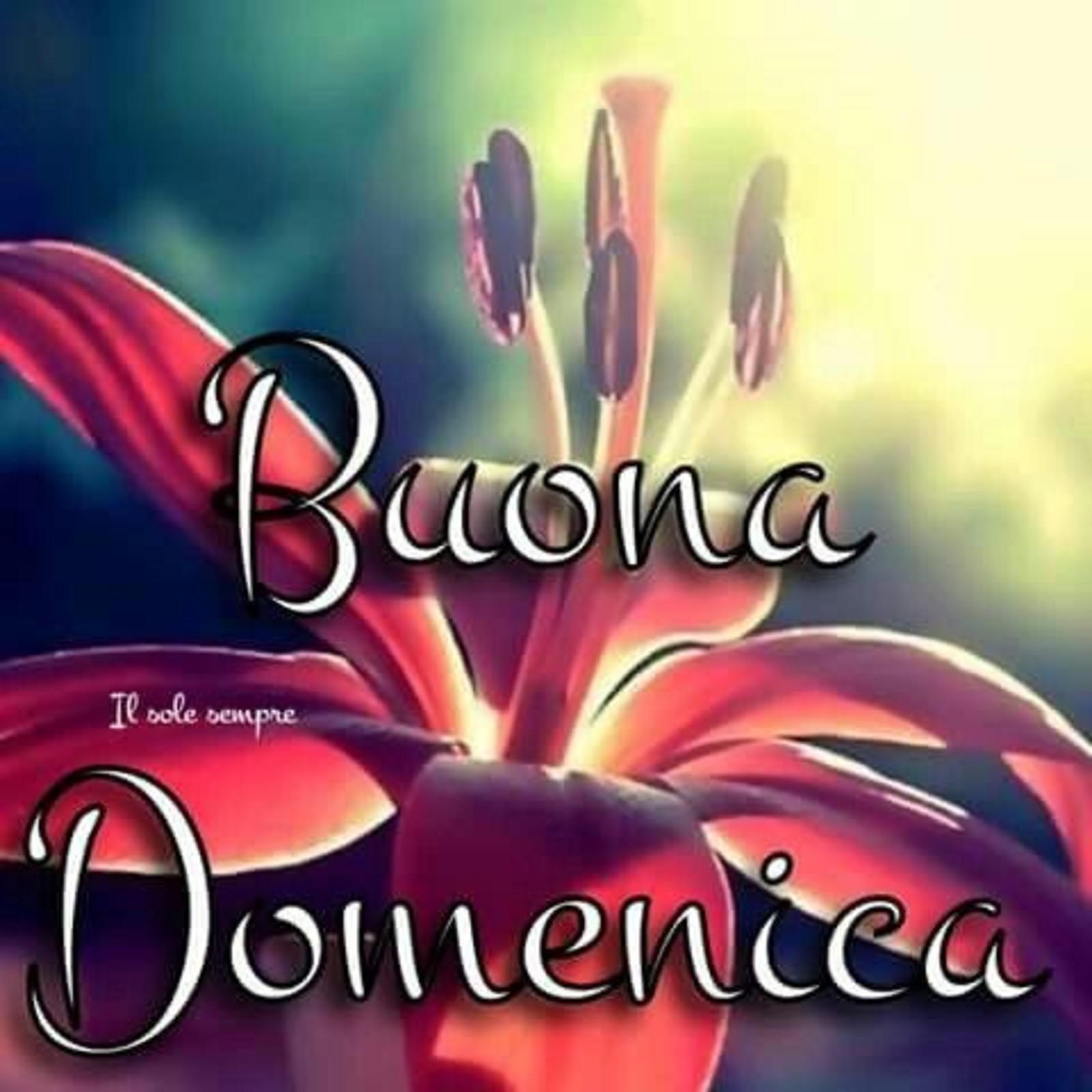 Buona Domenica amici 5014