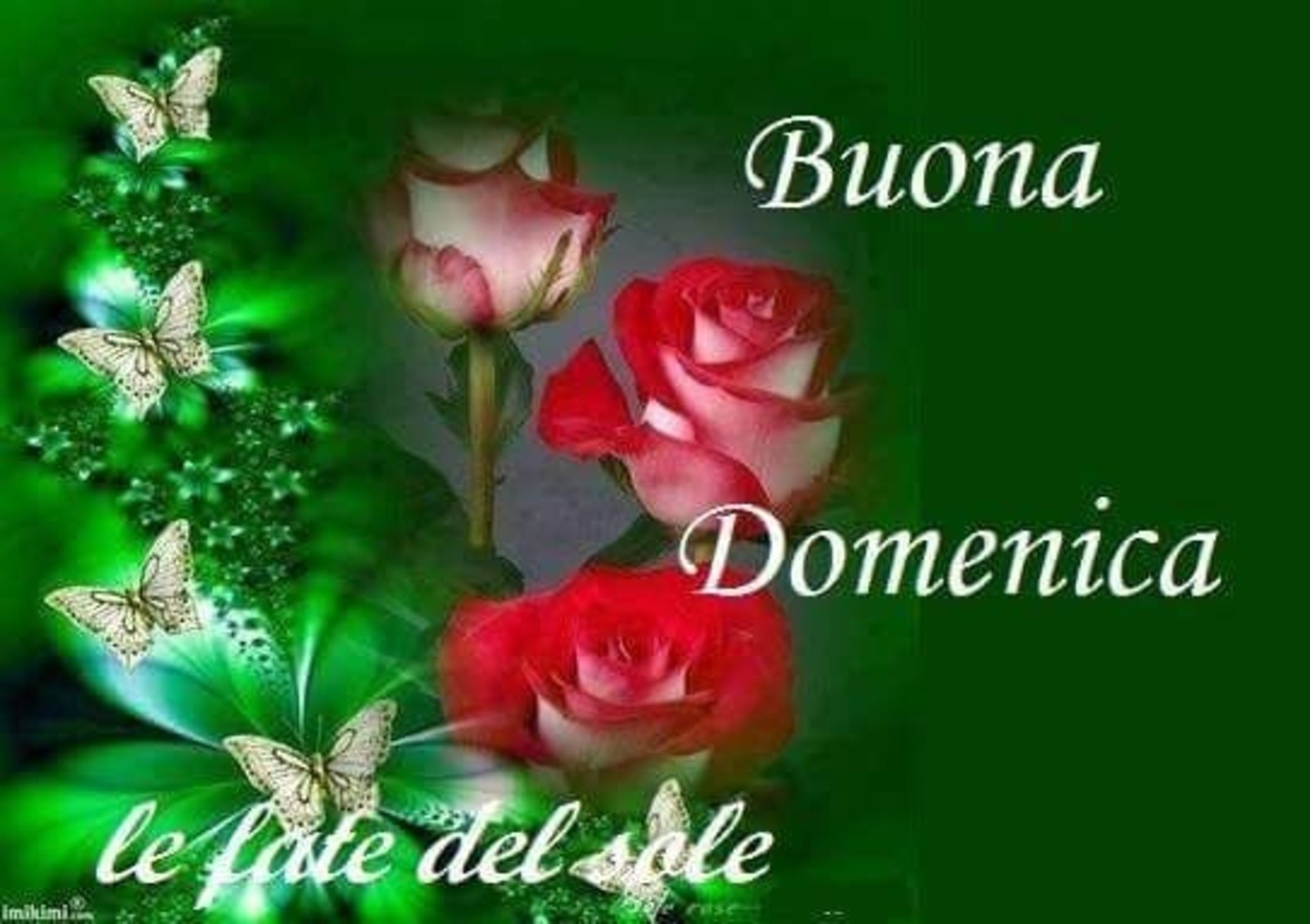 Buona Domenica amici 5042