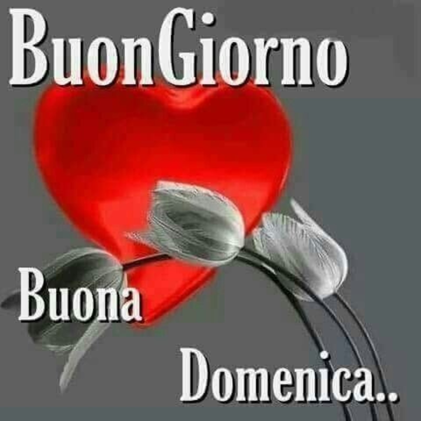 Buona Domenica immagini Pinterest 4464