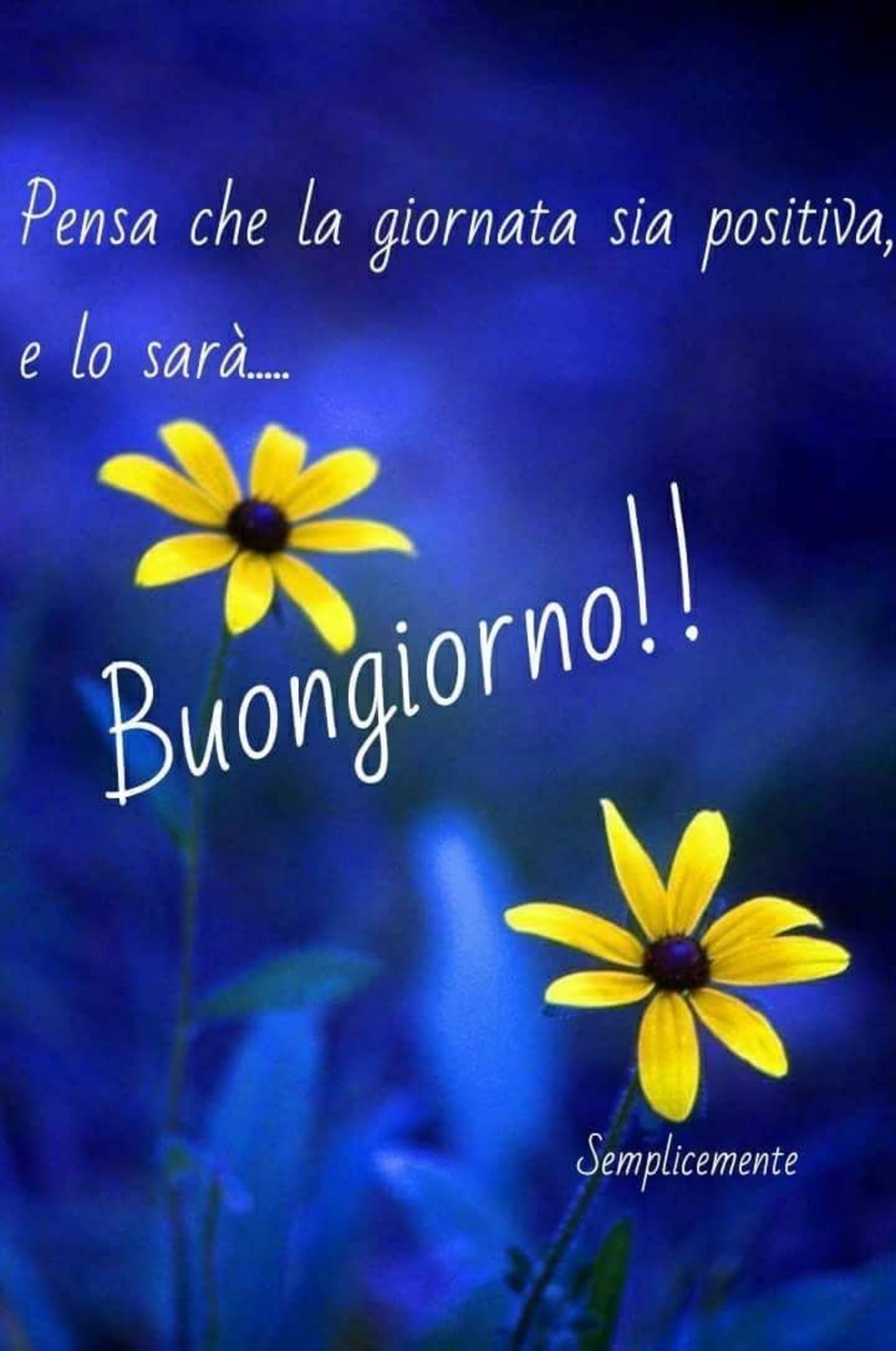 Buona Giornata 1394