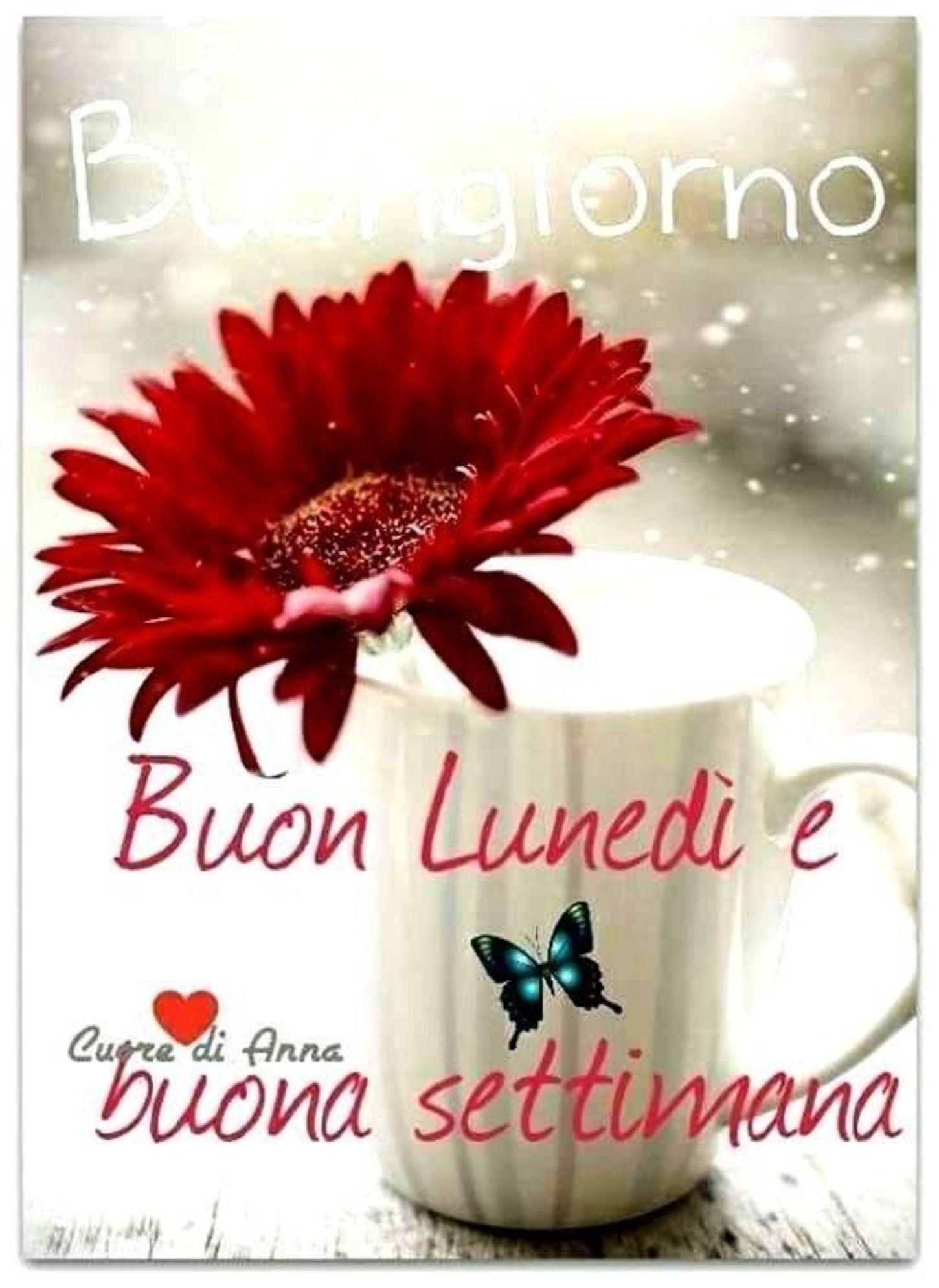 Buongiorno Immagini Lunedi Coi Fiori 2 Immaginifacebook It