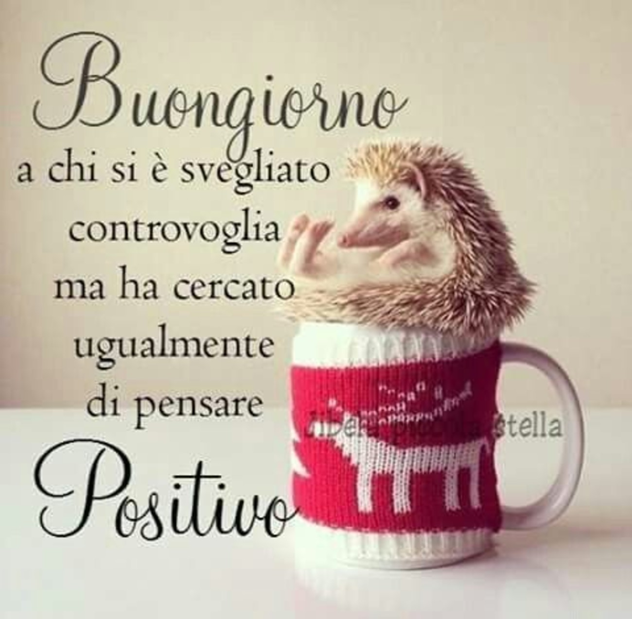 Buongiorno immagini con frasi 7541