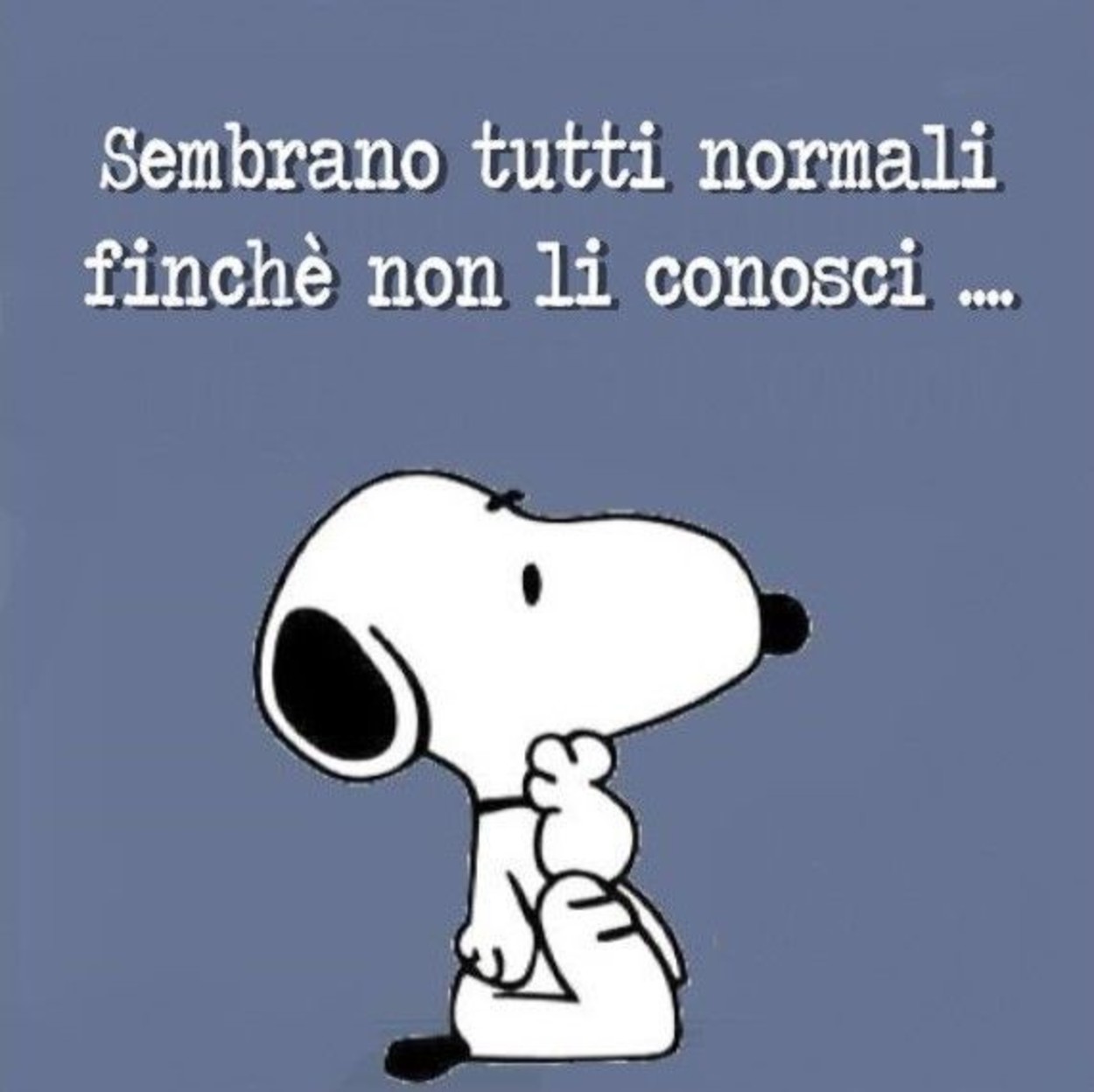 Citazioni Snoopy Immaginifacebook It