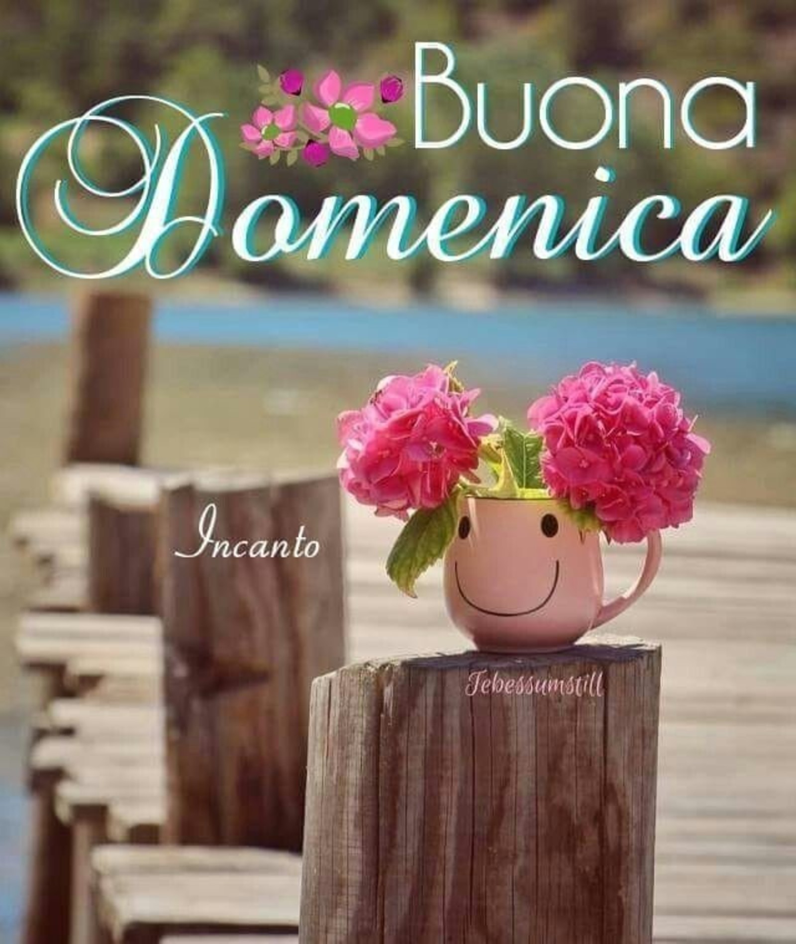 Frasi e immagini Buona Domenica 8057