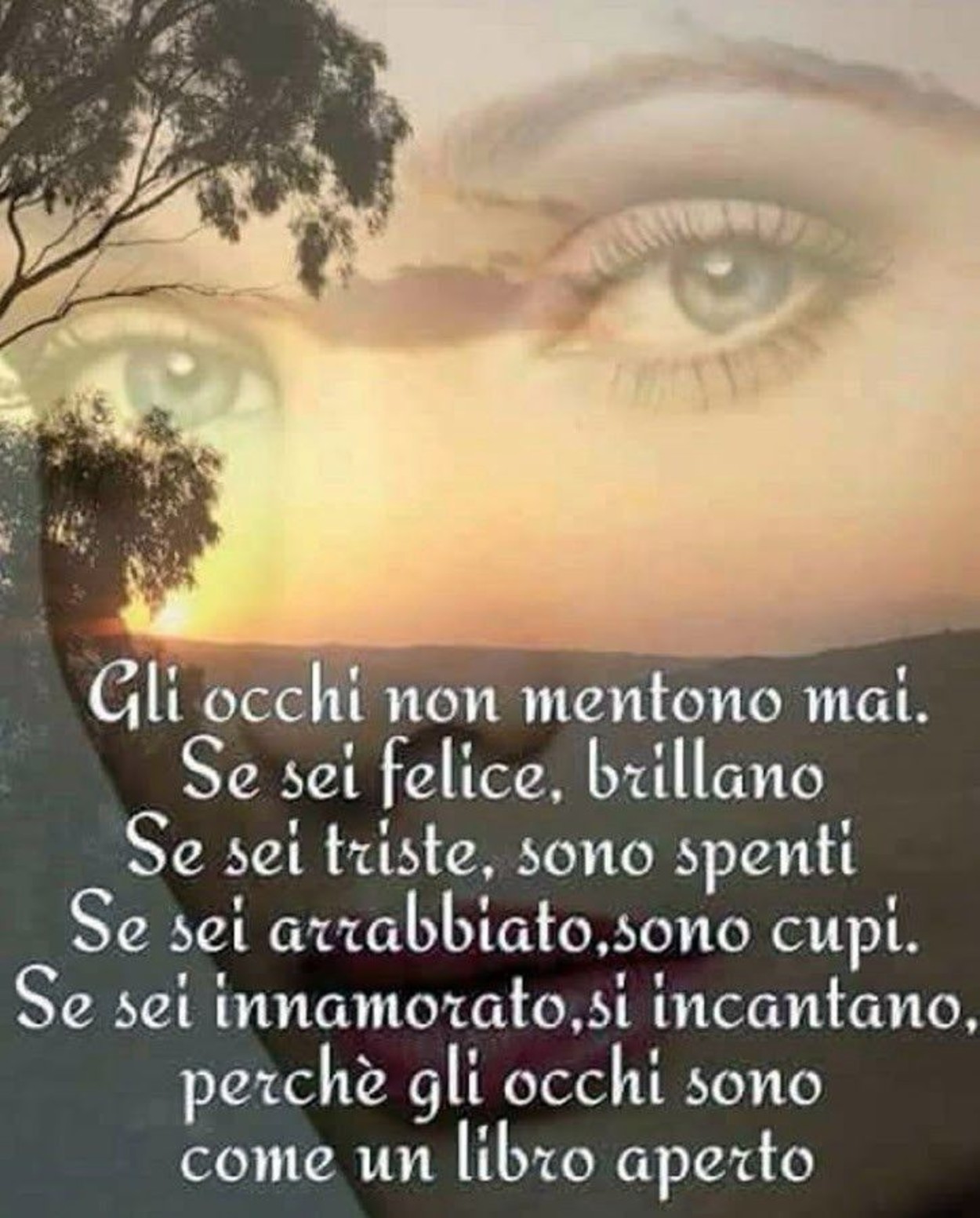 Frasi per Gruppi WhatsApp 970