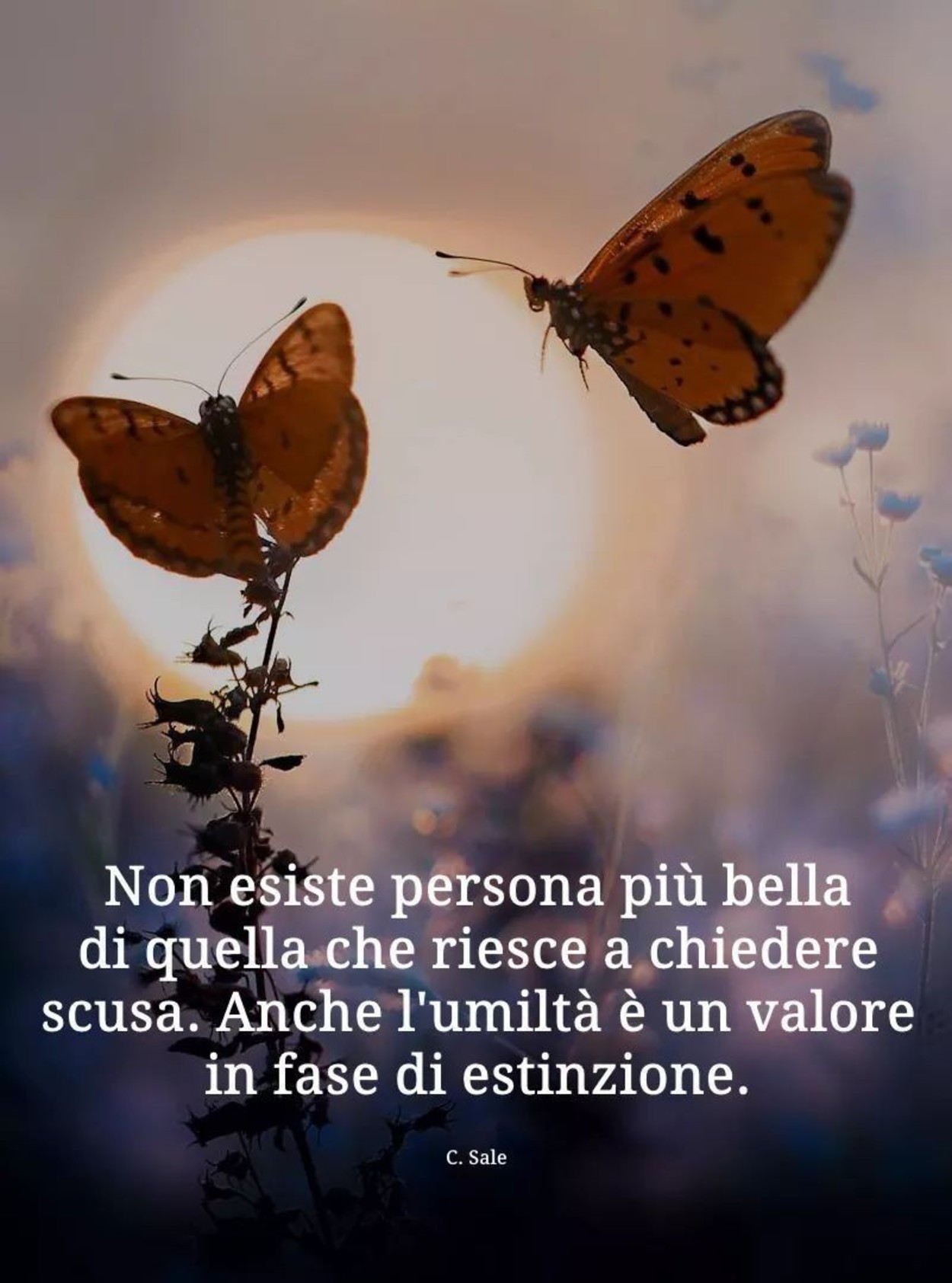 Frasi per Gruppi WhatsApp 977