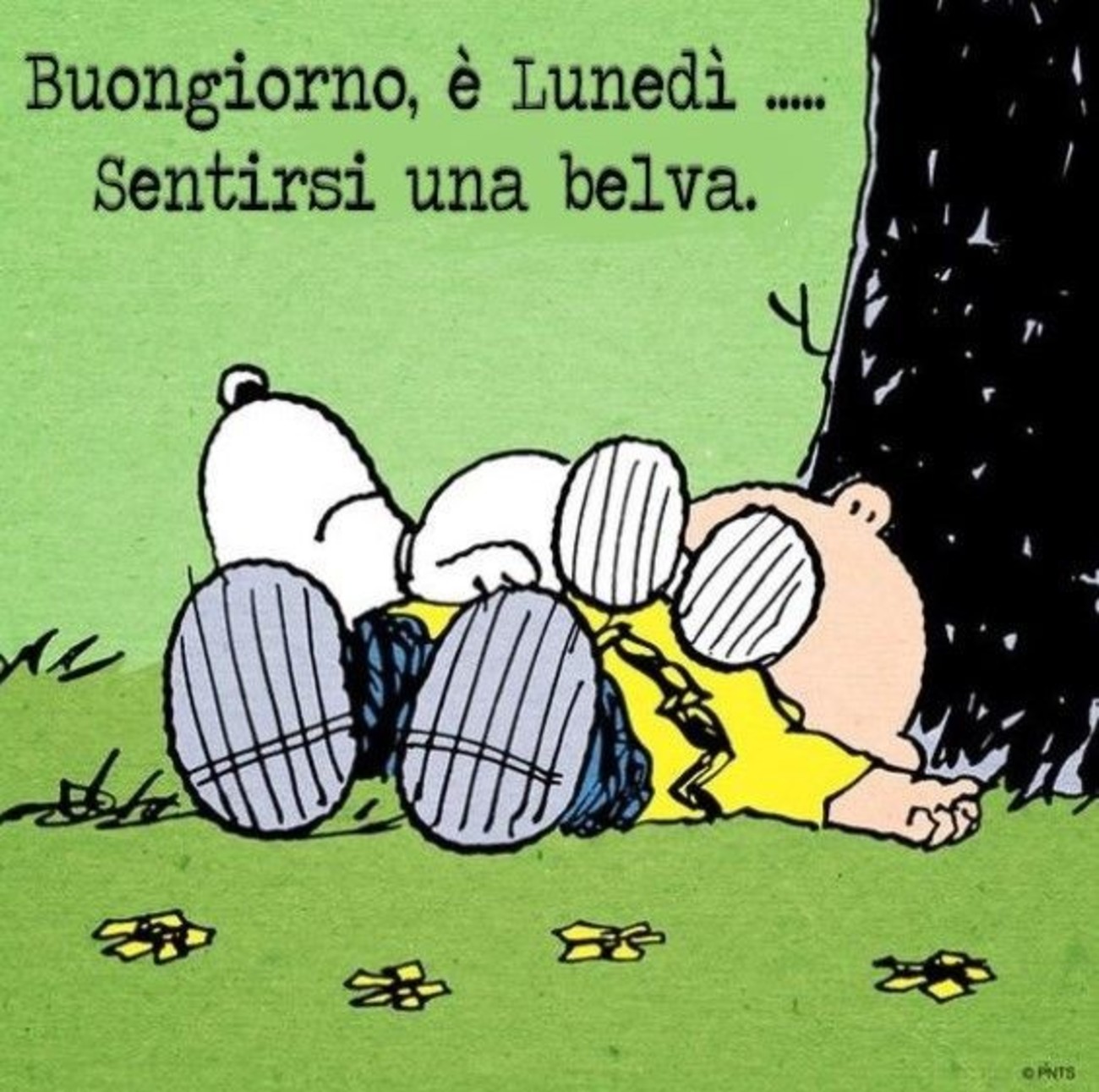 Immagini Snoopy Buon Lunedì