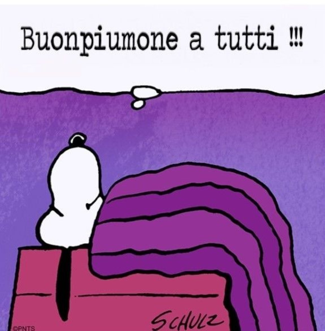Immagini Snoopy Buonanotte