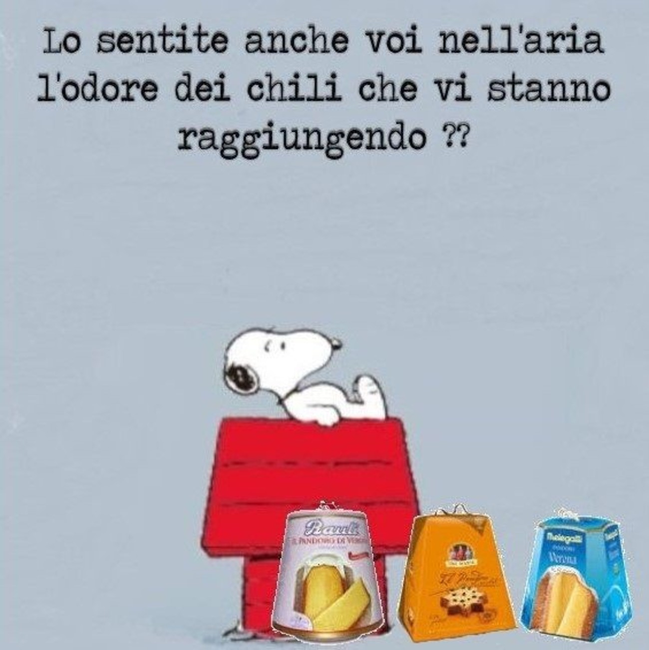 Snoopy Frasi Archives Immaginifacebook It