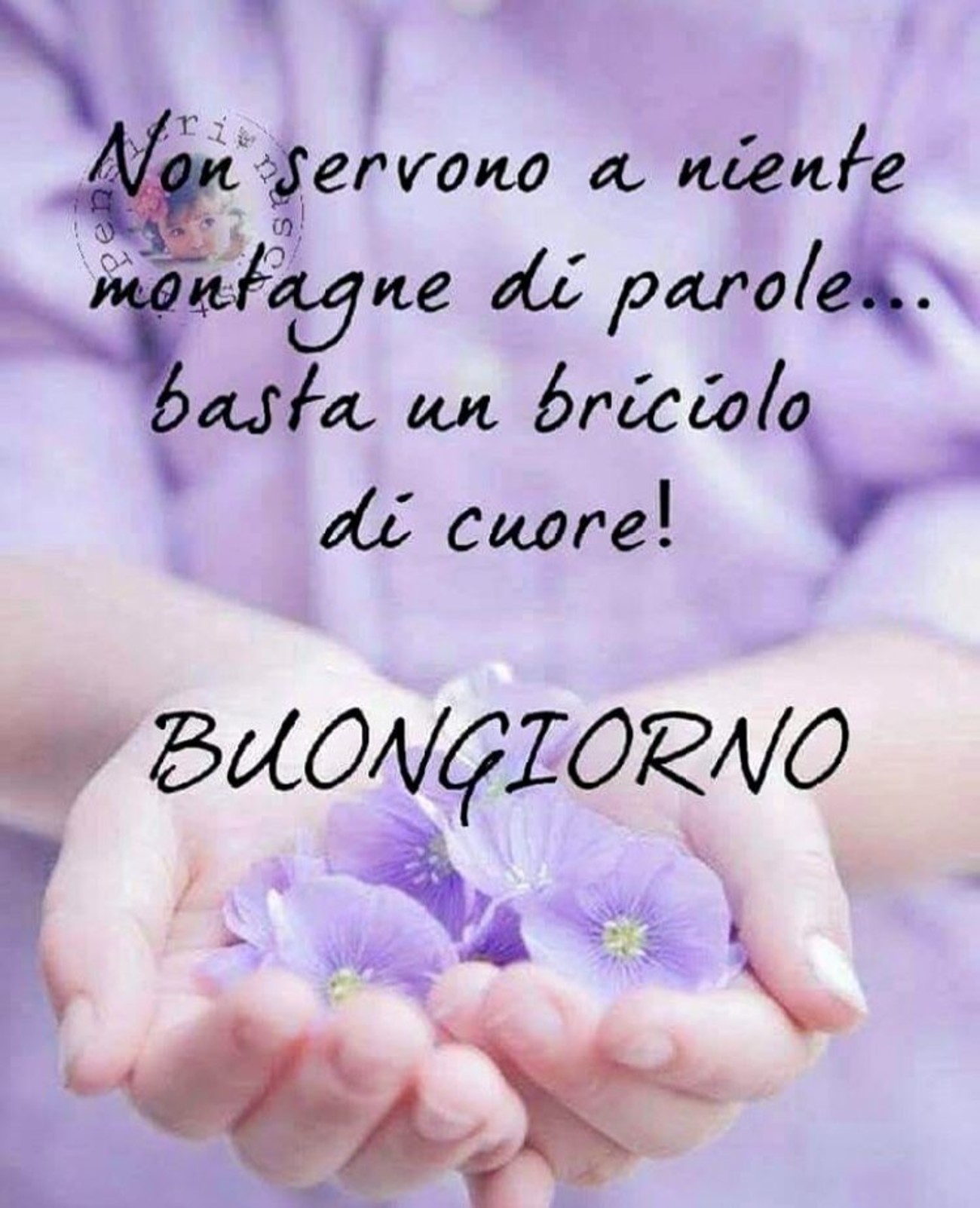 Immagini con frasi belle Buongiorno