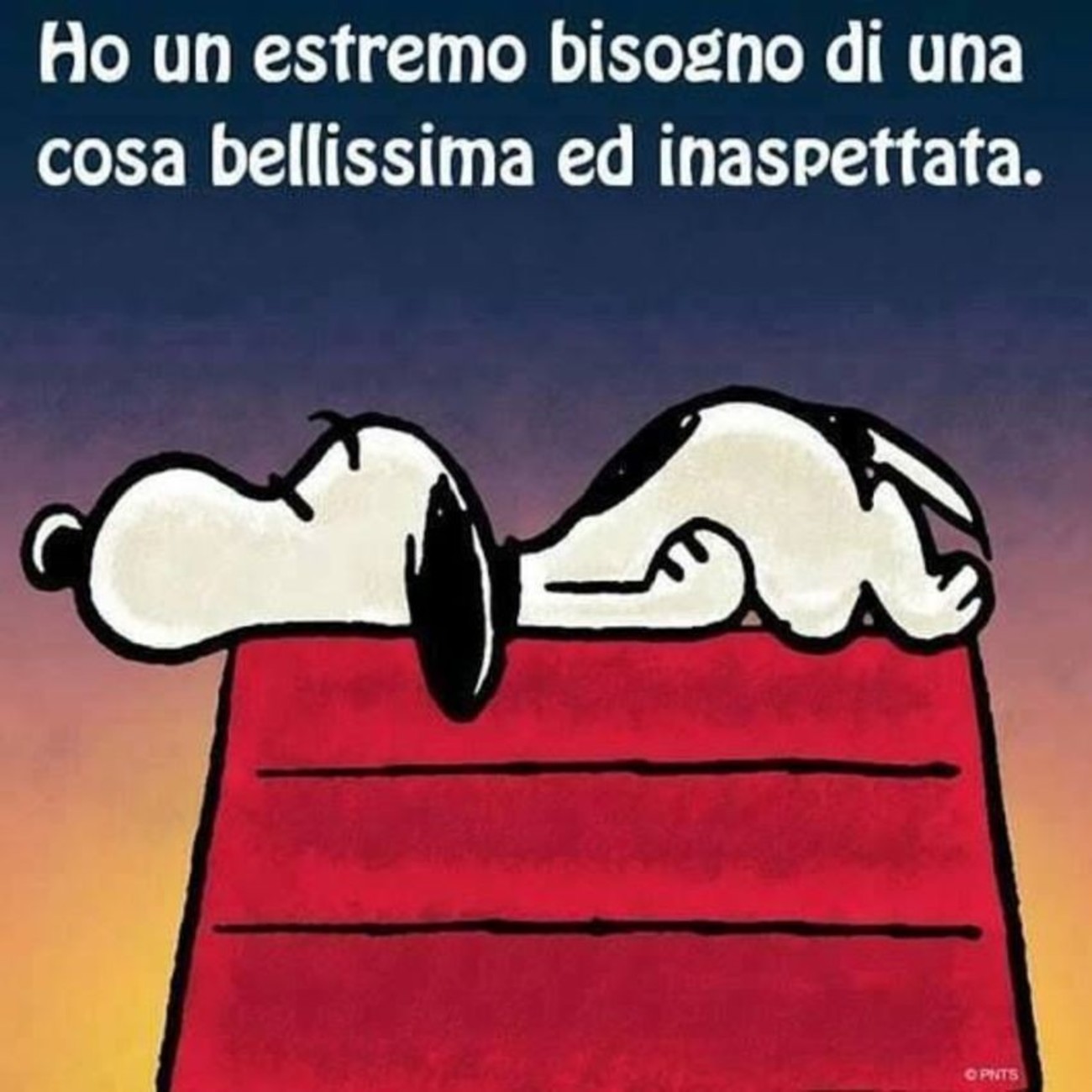 Snoopy vignette 6565