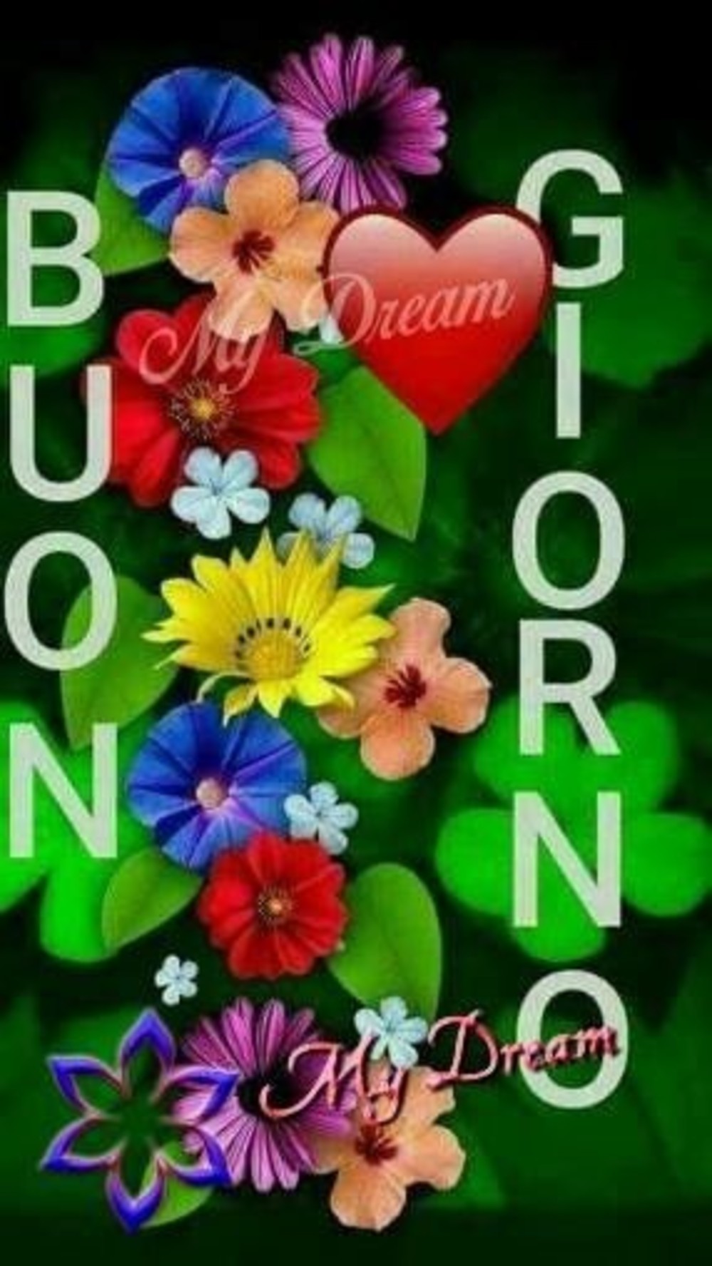 Buon Giorno Coi Fiori Immaginifacebook It