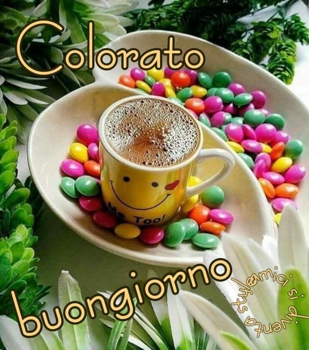 Buongiorno bello 6052