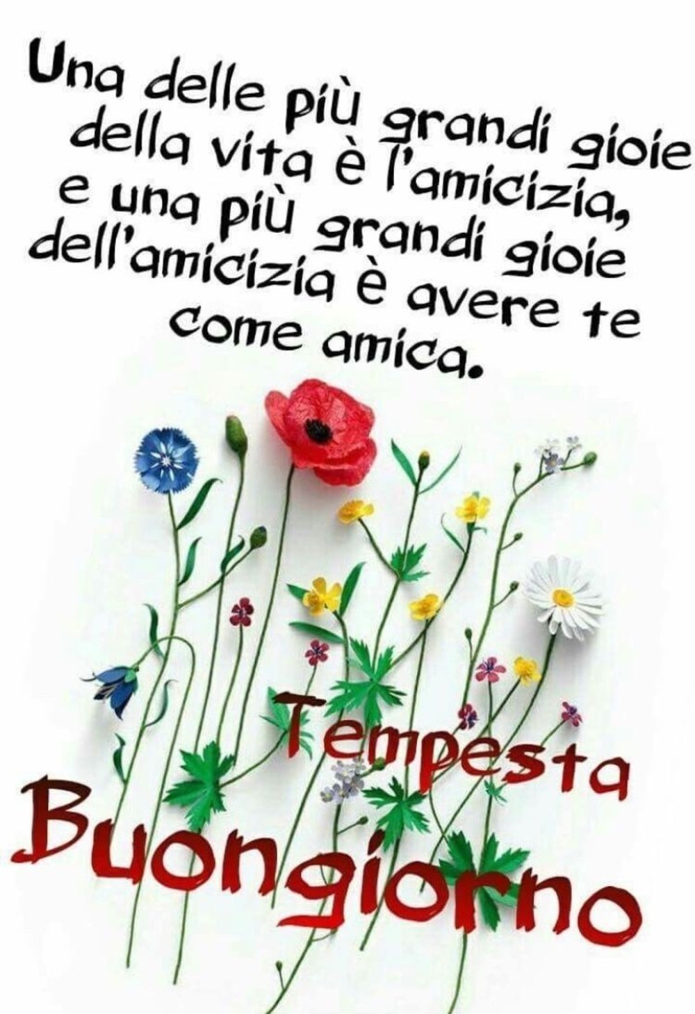 Buongiorno Gruppo Immaginifacebook It