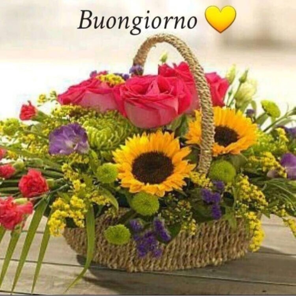 Buongiorno Immagini Foto Con I Fiori 9 Immaginifacebook It