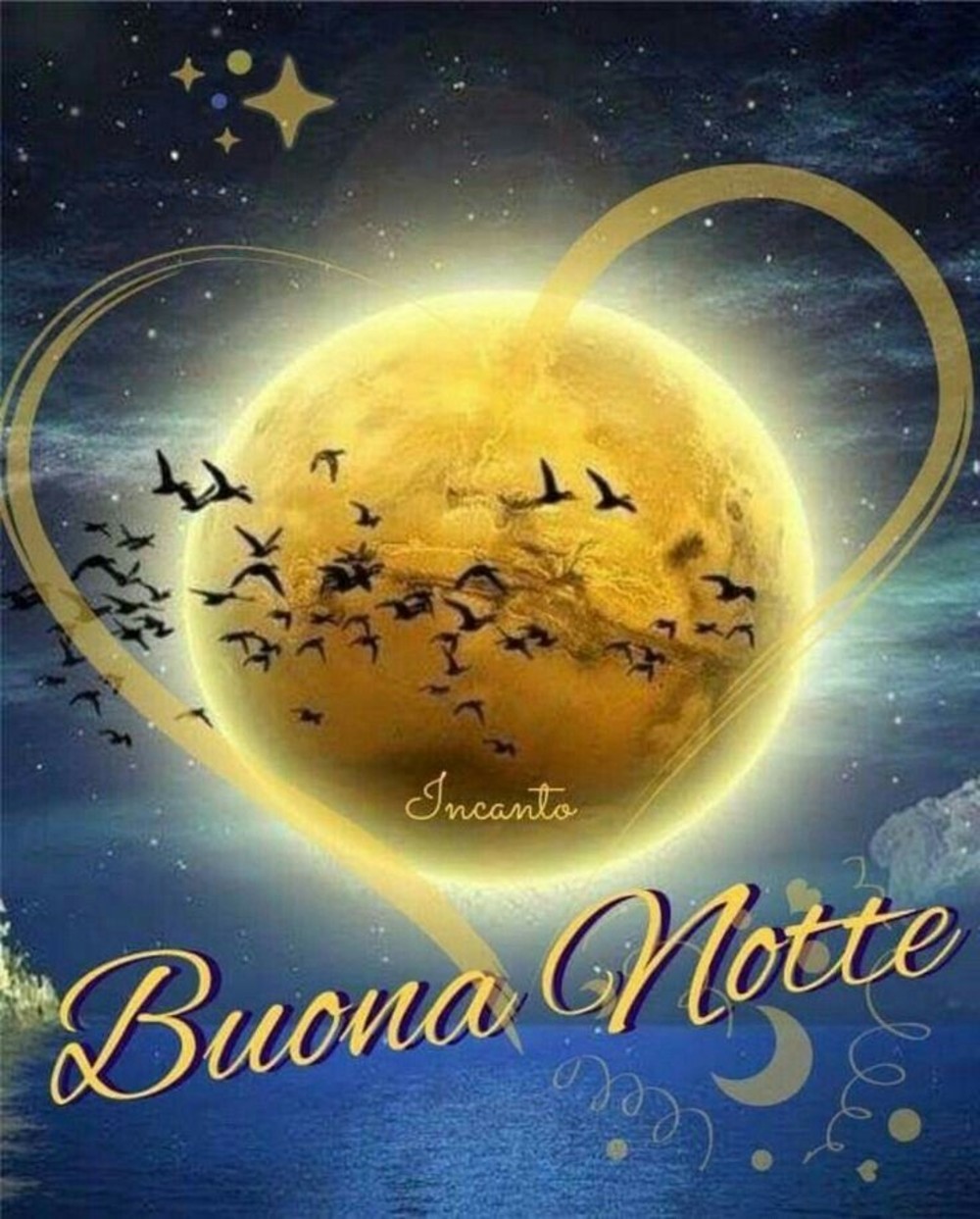 Dolce Notte 10832 Immaginifacebook It