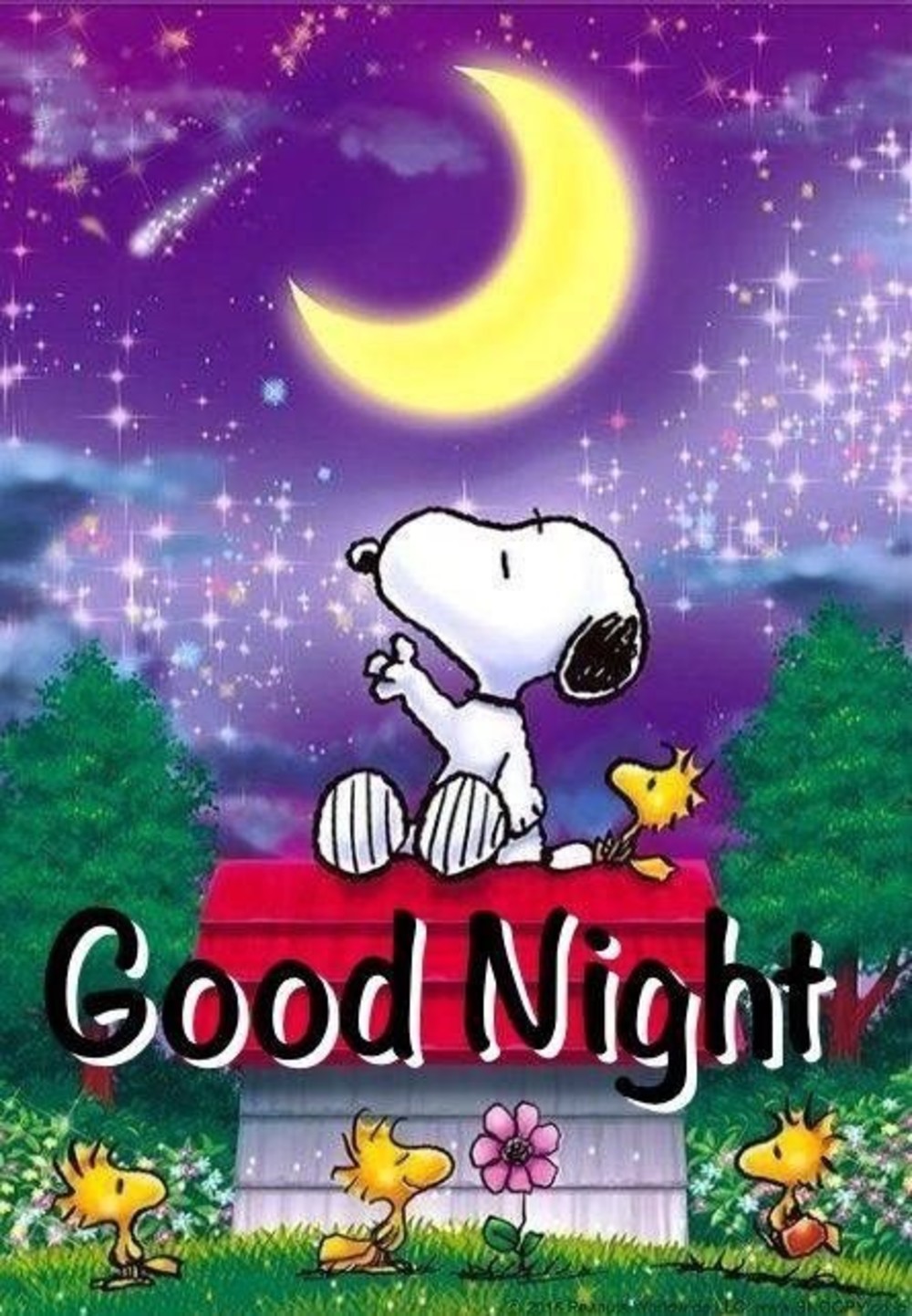 Snoopy Buonanotte immagini